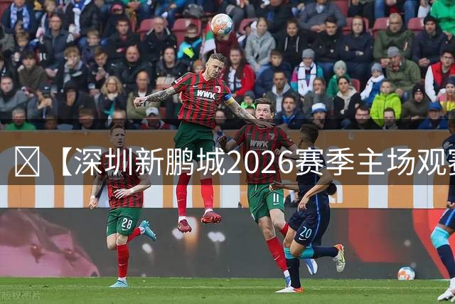 🔥【深圳新鹏城2026赛季主场观赛指南来啦！】🏟️ ——NO.13
