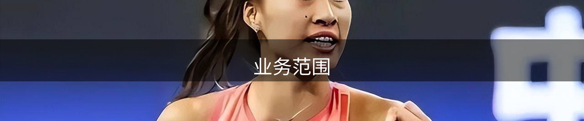 业务范围