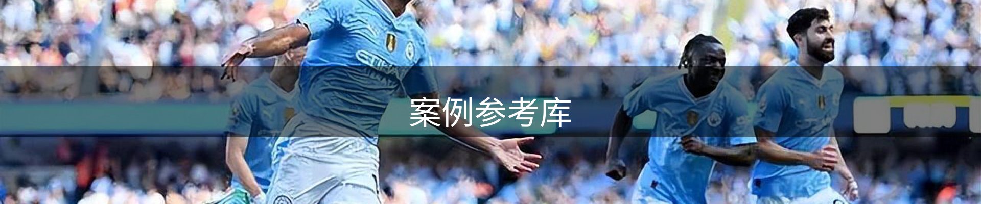 案例参考库